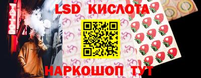 дмт Аргун