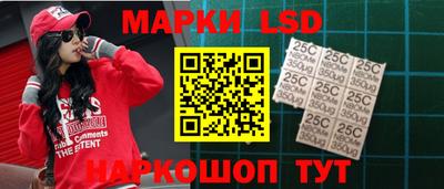 дмт Аргун