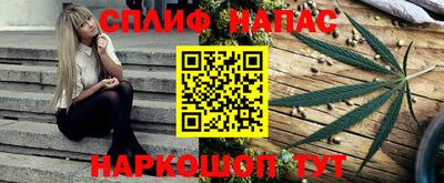 дмт Аргун