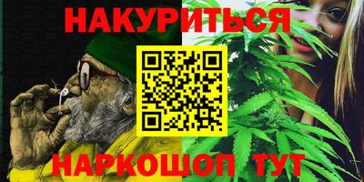 дмт Аргун
