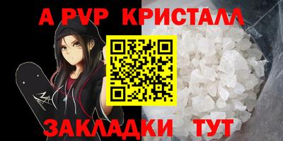 дмт Аргун