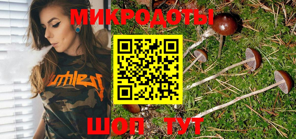 сколько стоит  Галлюциногенные грибы Psilocybine cubensis  Вход с VPN  Волжск 