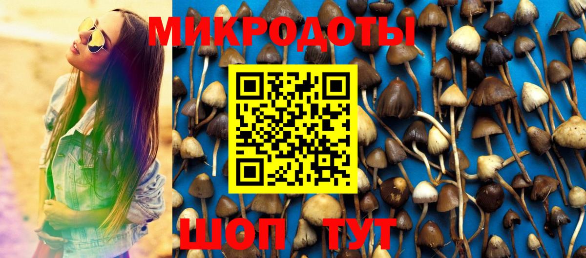 Галлюциногенные грибы мухоморы Волжск